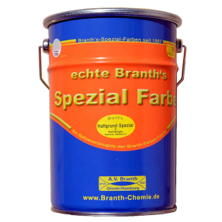 Primer speciale BRANTHs in tanica da 5 litri - grigio RAL 7038